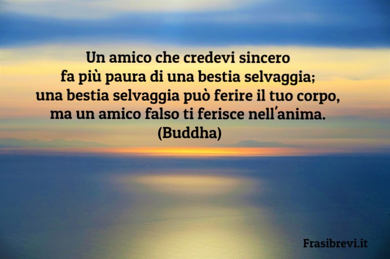 Miglioratips Chi Sono I Veri Amici Quali Sono Le Vere Amicizie