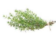 Thyme for dog health