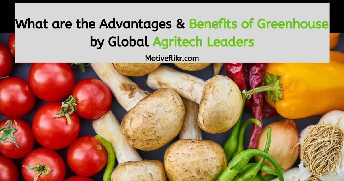 Advantages & Benefits of Greenhouse by Global Agritech Leaders