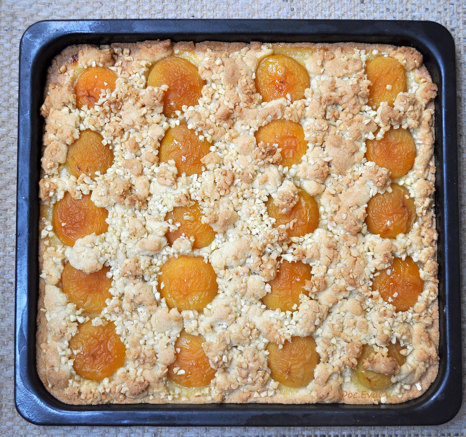 Einfacher Aprikosenkuchen Vom Blech Mit Heidelbeeren — Rezepte Suchen