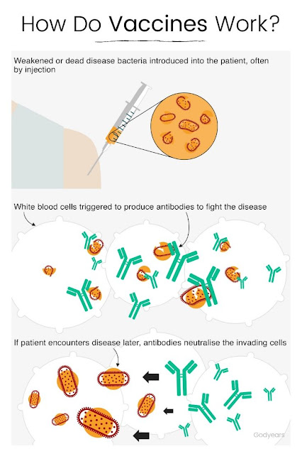 How do Vaccines Work - Godyears