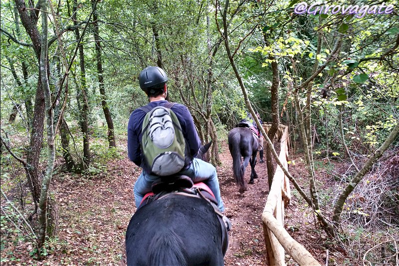 escursioni gargano trekking cavallo