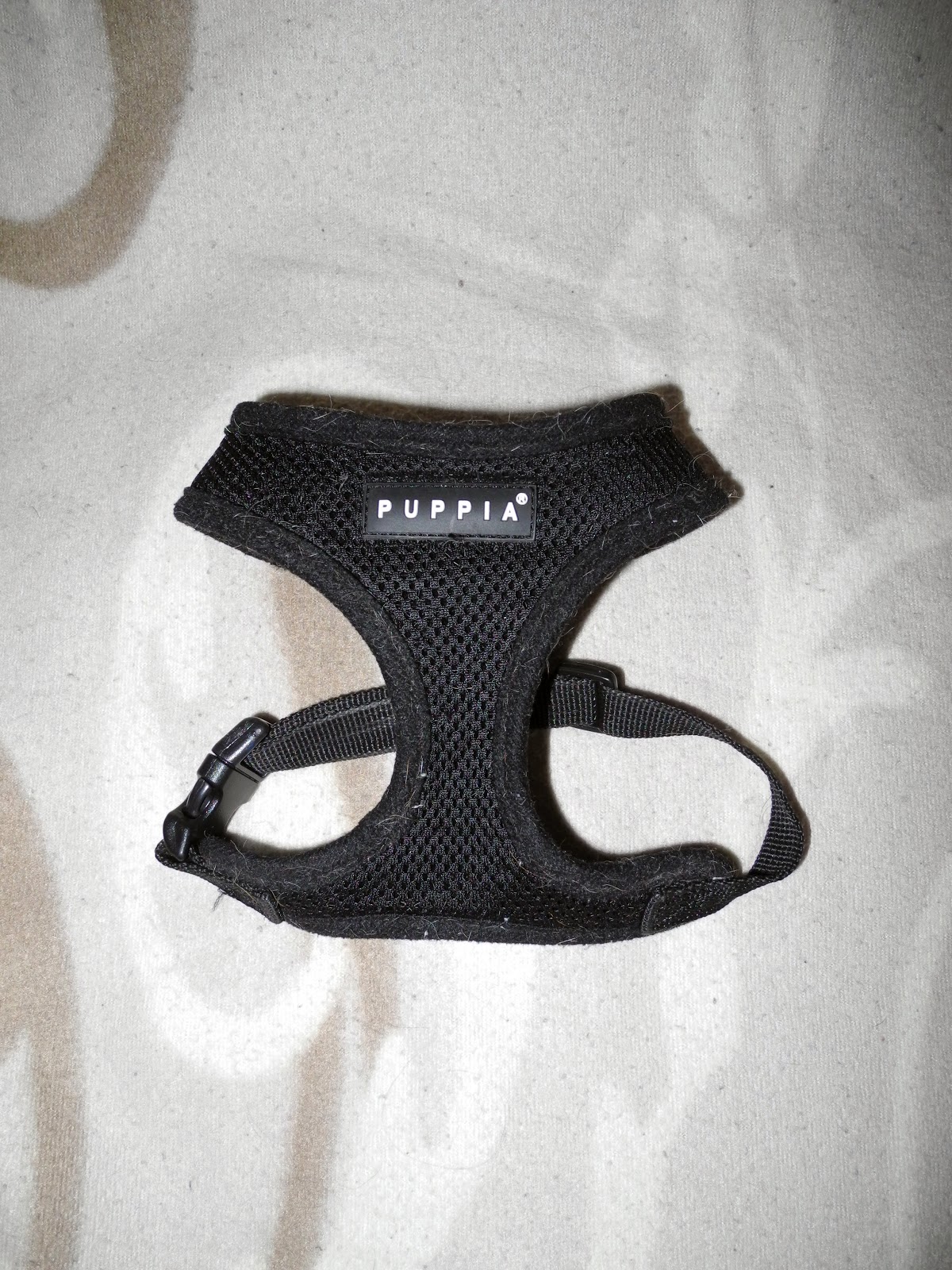 Rocky's Blog Puppia Harnesses