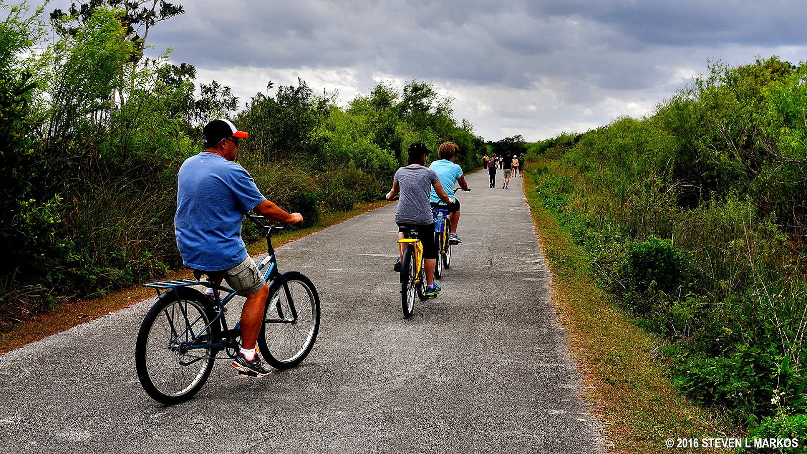Shark Valley Bike Rental Bikes Choices