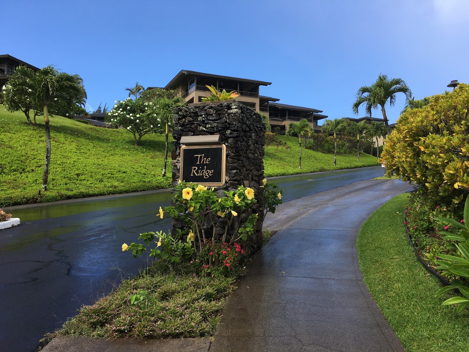 GREAT EATS HAWAII THE RIDGE VILLAS KAPALUA, MAUI