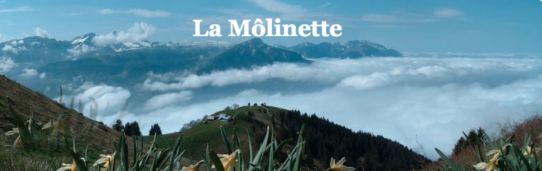 http://blog.la-molinette.info/post/2013/10/06/R%C3%A9sultats-cat%C3%A9gorie-Hommes
