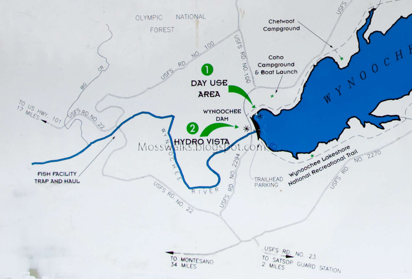 Walks with Moss West Fork Humptulips and Camping Nearby