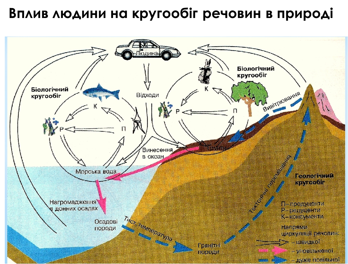 Реферат: Водні ресурси світу Світовий океан поверхневі та підземні води
