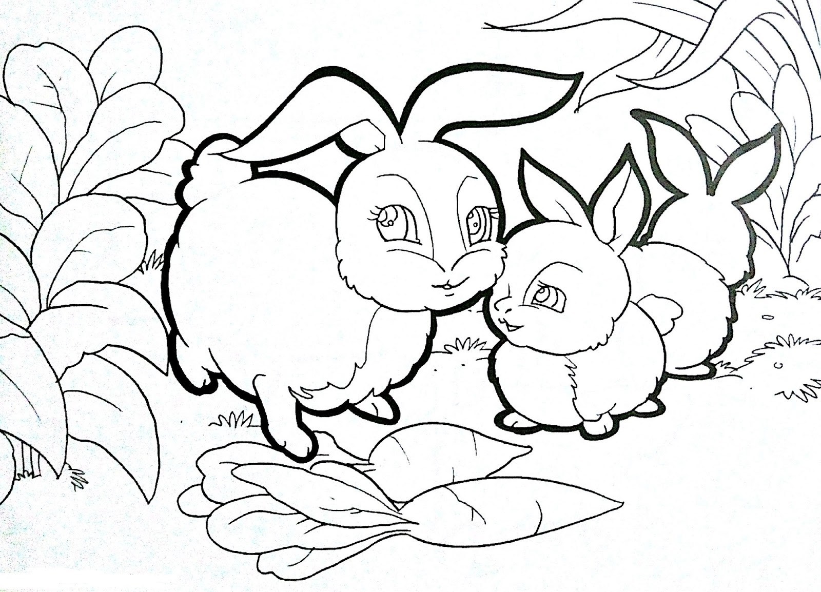 contoh gambar mewarnai brokoli