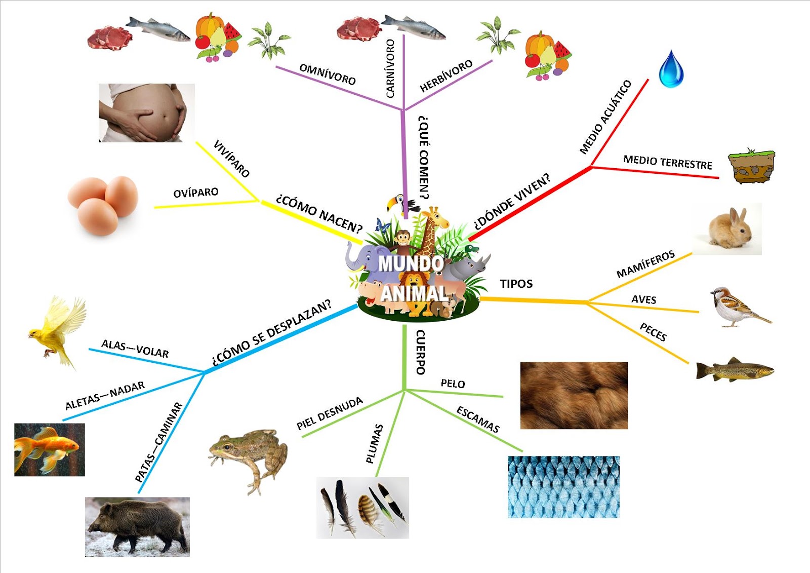 ¡El blog de 1º! MAPA MENTAL 