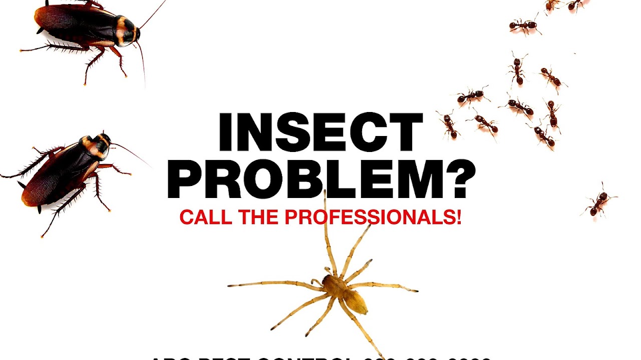 Pest Control Marketing Ideas Marketing Choices