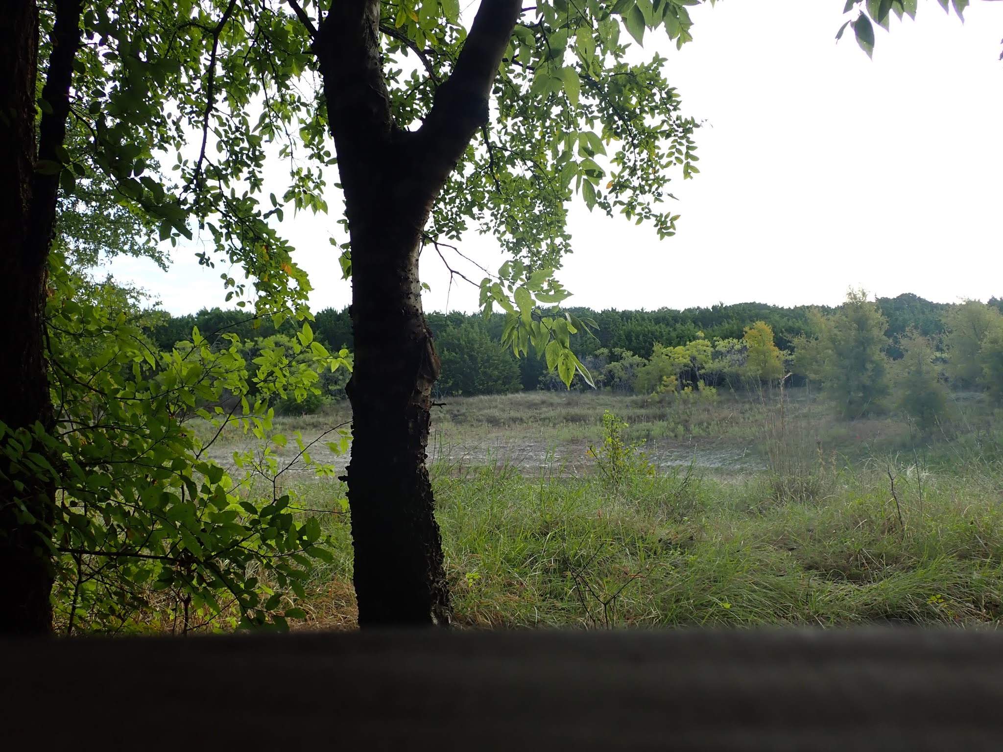 DebbieCPhillipsPhotography Mother Neff State Park
