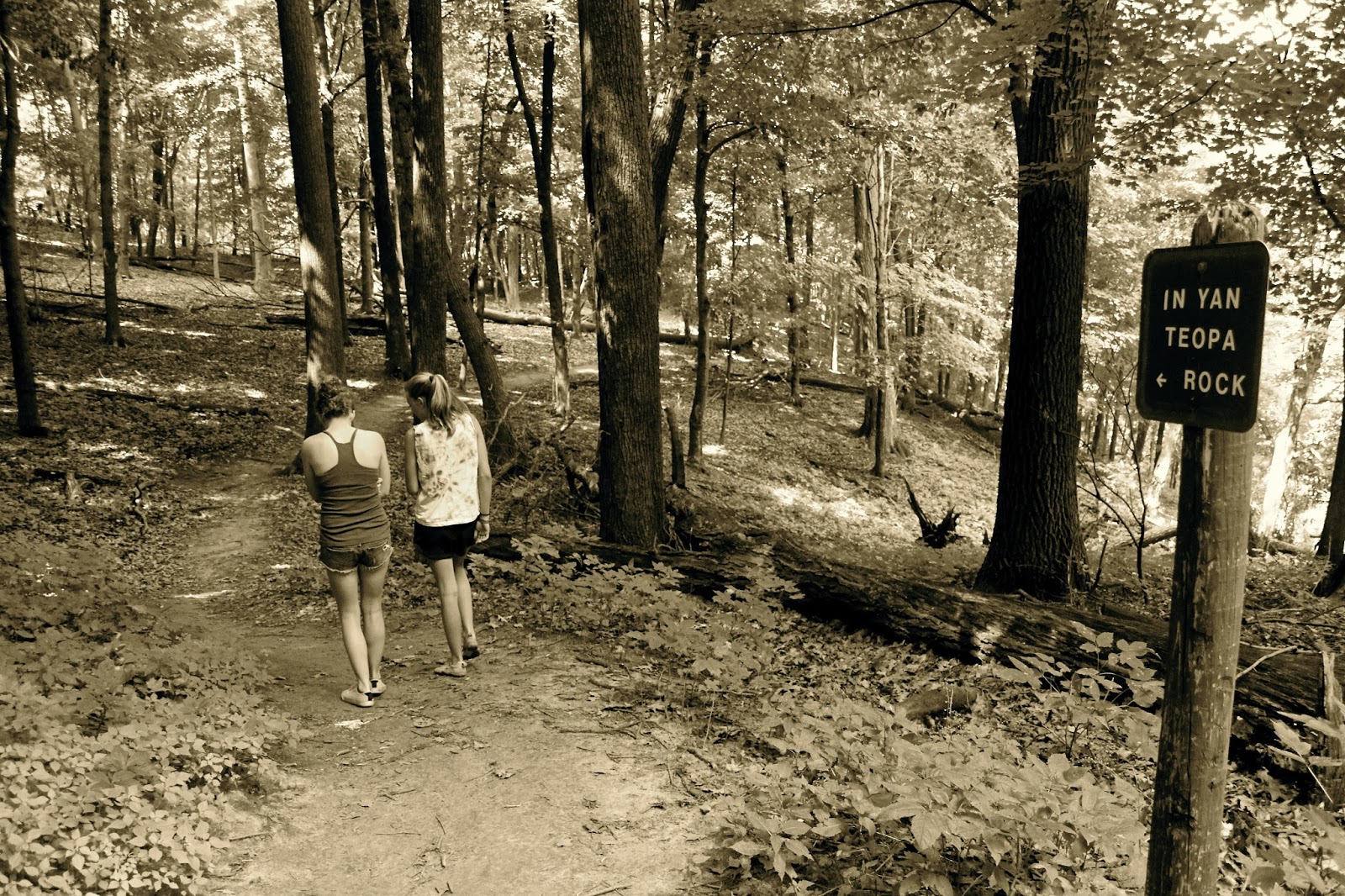Russman's spot: Hiking in Frontenac State Park - In Yan Teopa Rock