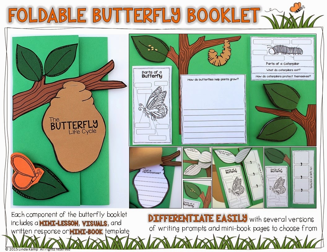 Butterfly life cycle foldable lapbook