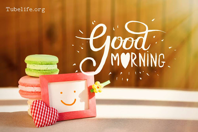 Latest Good Morning Images Collection For Free Download