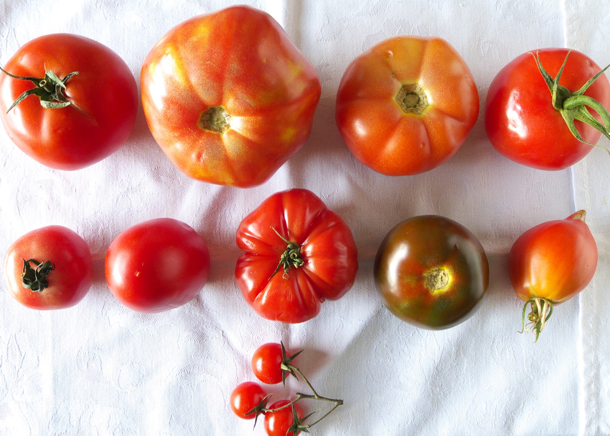 MY KITCHEN IN SPAIN SEARCHING FOR THE BEST TOMATO