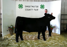 2012 Fifth Place Market Steer