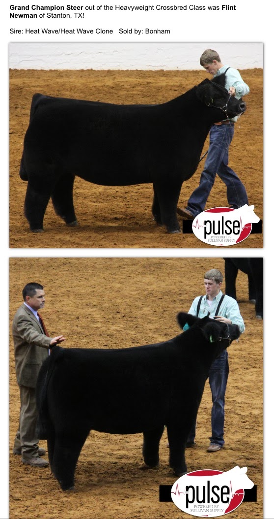 DIAMOND G CATTLE CO. Fort Worth Steer Show Grand Champion