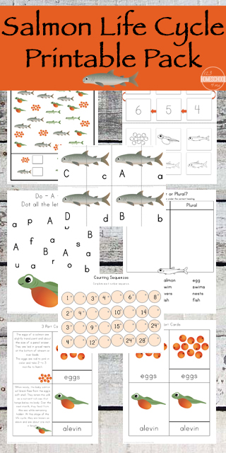 FREE Salmon Life Cycle Worksheets FREE Salmon Life Cycle Worksheets
