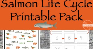 FREE Salmon Life Cycle Worksheets