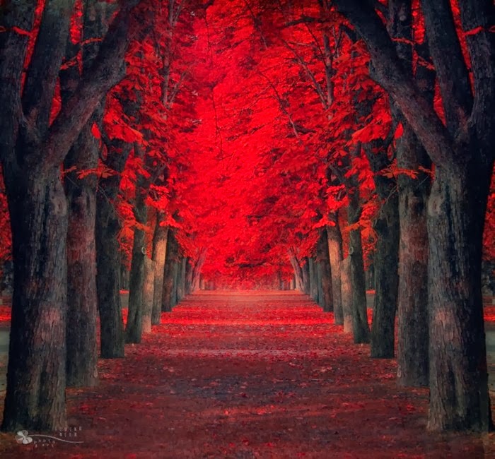 Сказочная страна