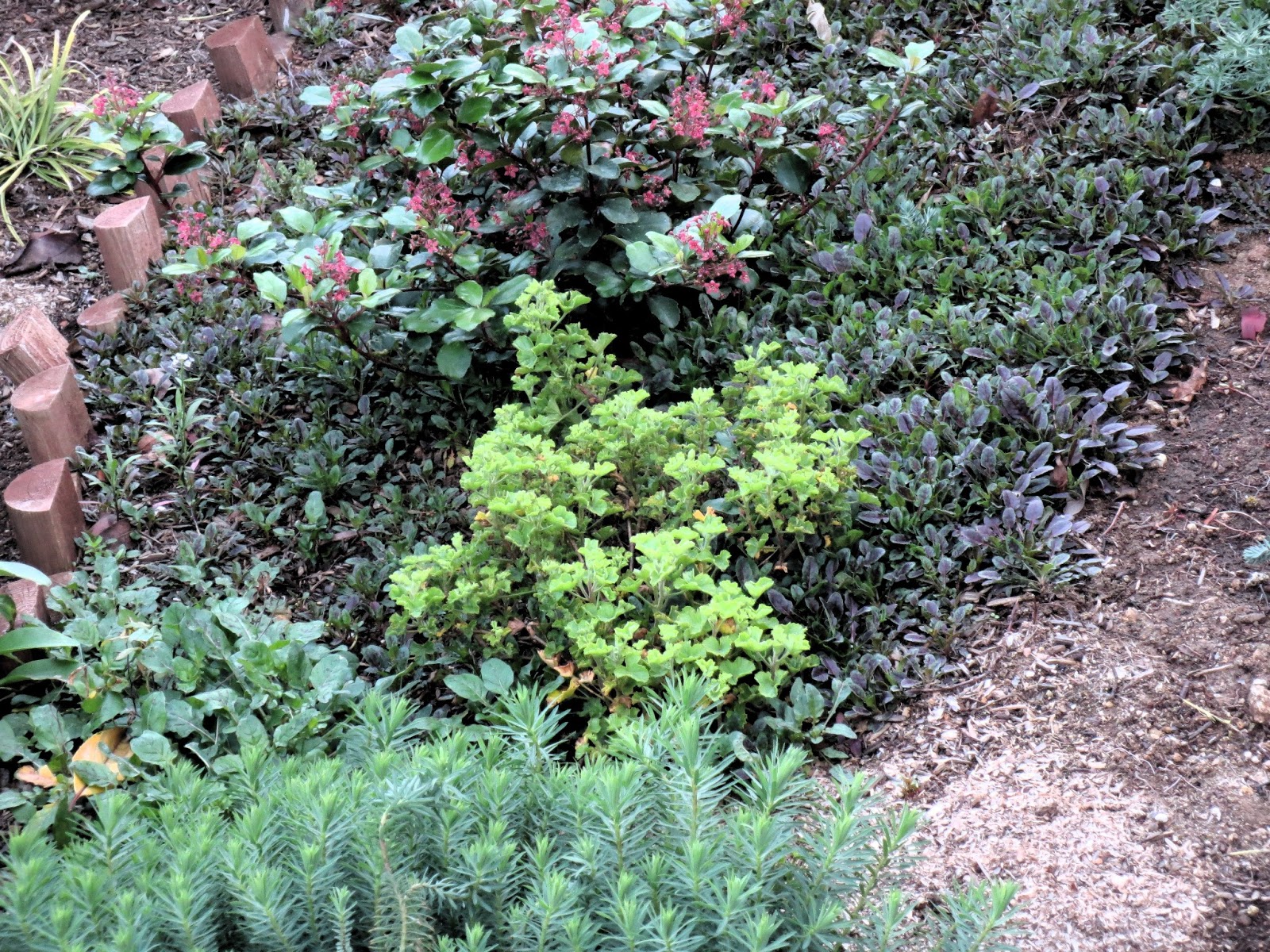 late-to-the-garden-party-trouble-spot-the-slope