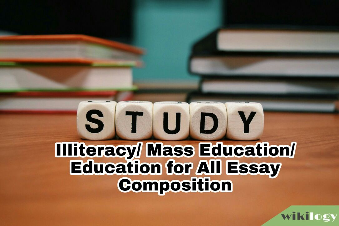 Illiteracy essay 1000 words picture