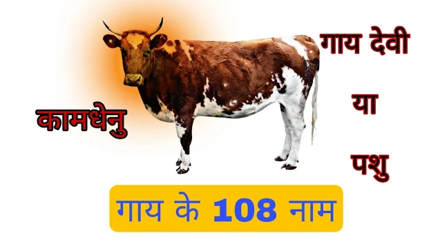 गाय के 108 नाम और उनकी महिमा