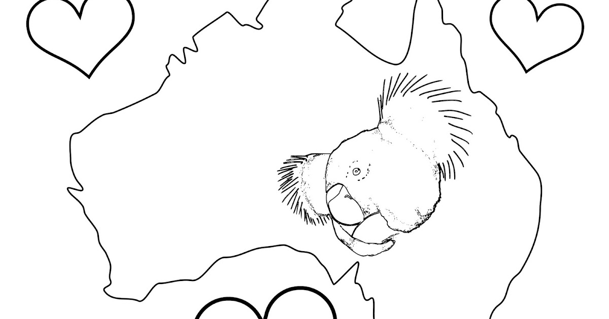 CJO Photo: Koala Coloring Page