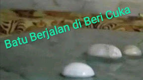 √ [TIPUAN] Trik Batu Mustika Berjalan Bila Di Beri Cuka dan Air Jeruk Asam