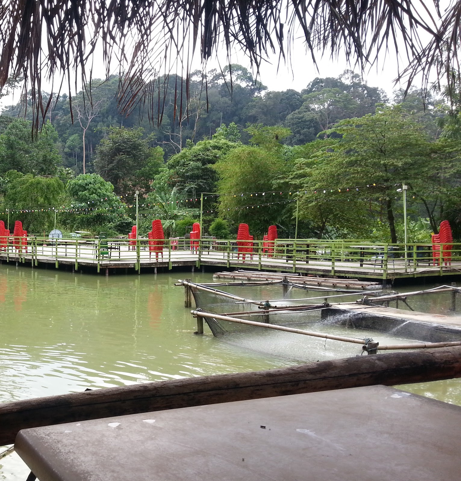 SG Foodie KL & Beyond MUST TRY Veg Fish Farm Thai Restaurant, Ampang