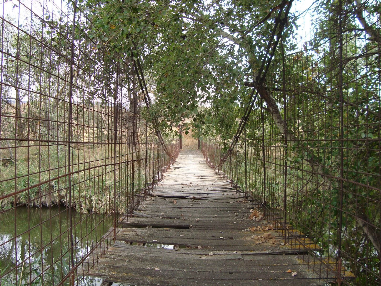 Vista interior del Puente