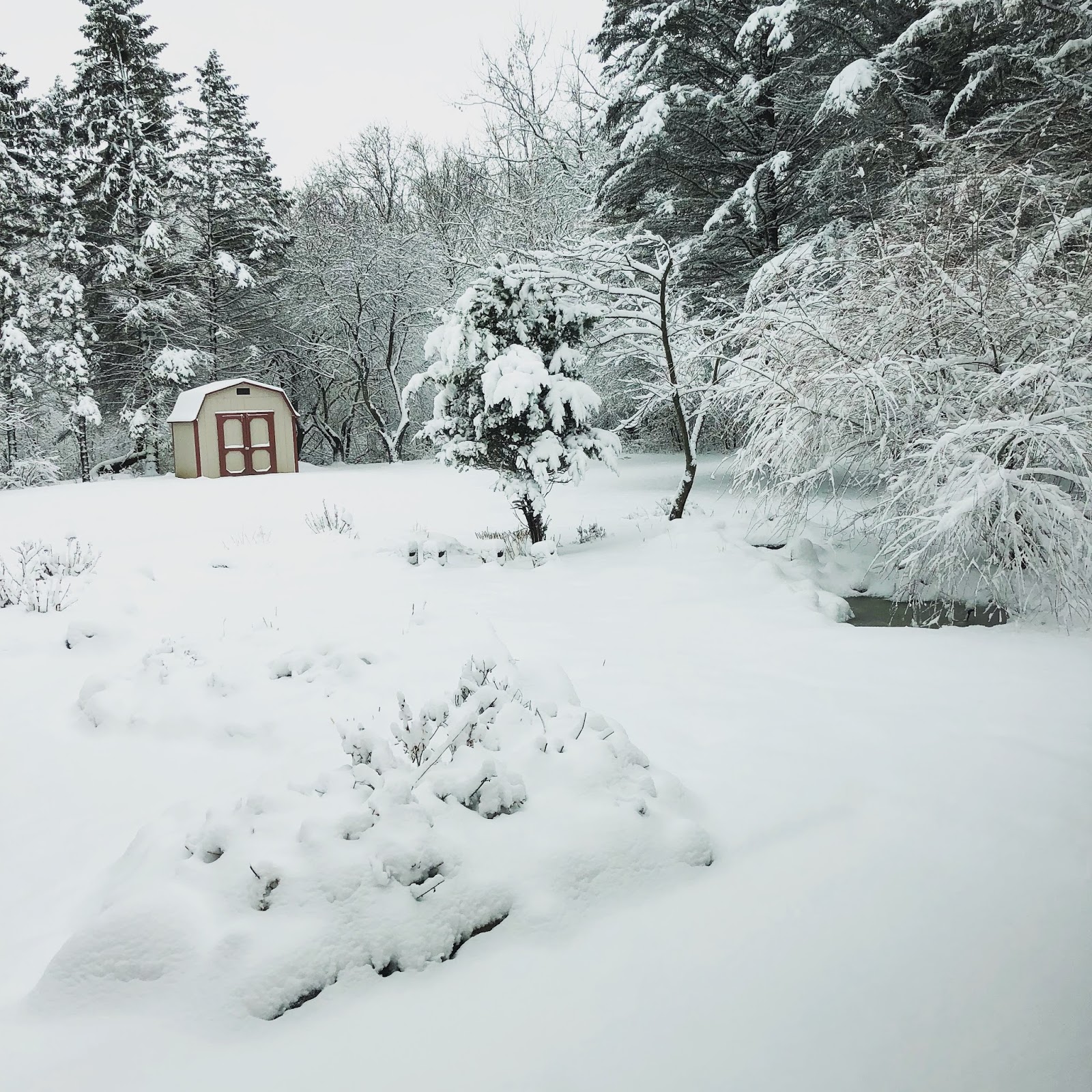 Life Lately | January