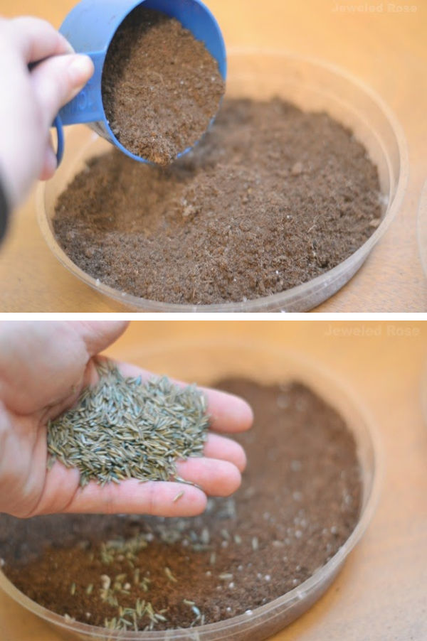 Here is a fun project that the kids will love!  Grow your own Easter basket grass. #easterbasketideas #eastercrafts #growgrassforeasterbasket #easteractivitiesforkids #easterbasketdiy #growingajeweledrose