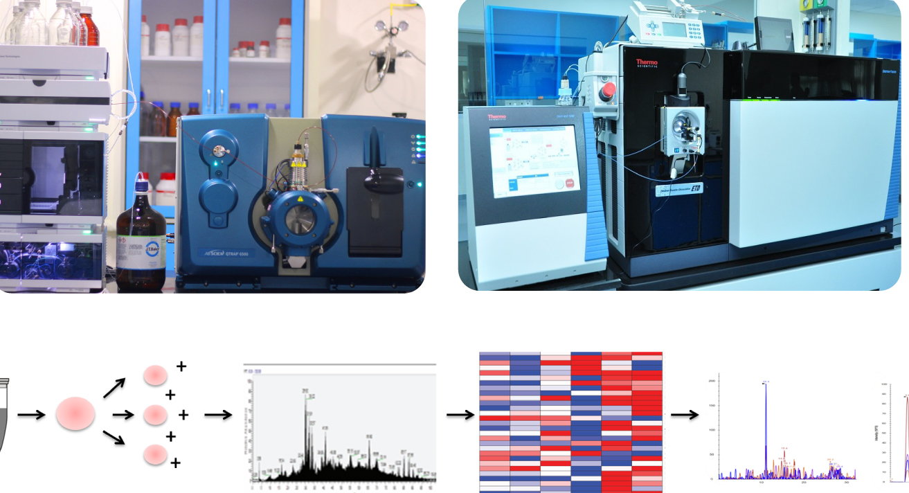 on Fundamentals of Mass Spectrometrybased Metabolomics