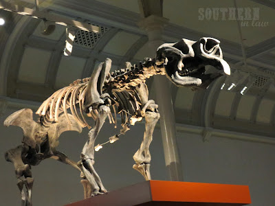 Australian Museum - Dinosaur Bones