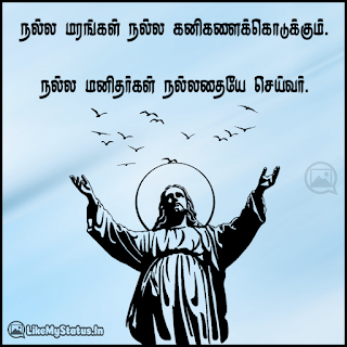 நல்ல மரங்கள் நல்ல கனிகளைக்கொடுக்கும். நல்ல மனிதர்கள் நல்லதையே செய்வர். -இயேசு கிறிஸ்து