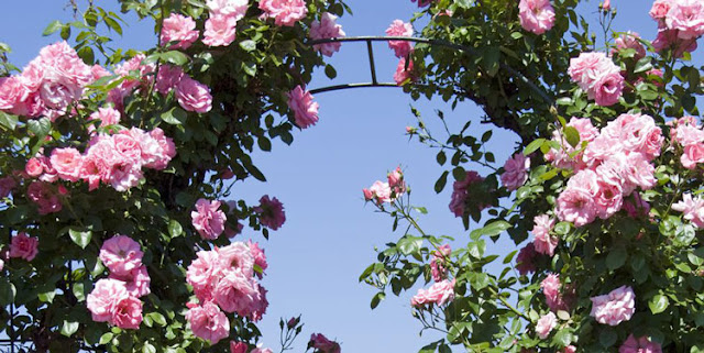 6 different styles of villa garden arch design 6 different styles of villa garden arch design