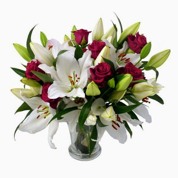 Myflowergift Send Online Flowers and Cakes Delivery to India