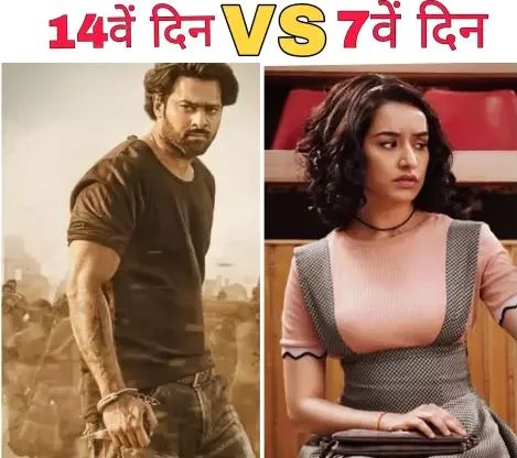 chhichhore vs saaho