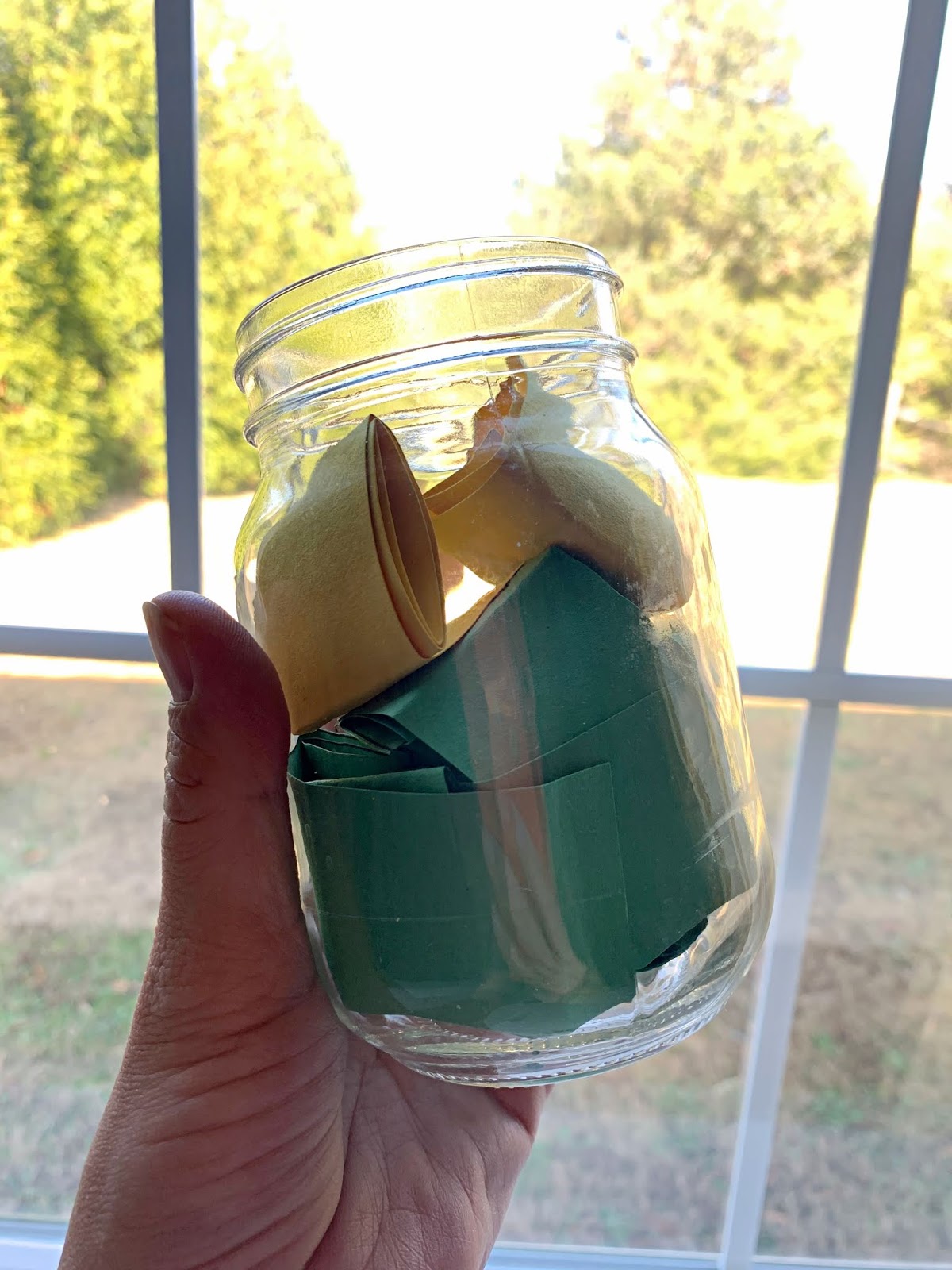 Country Mama To Many: Family Cleaning Raffle