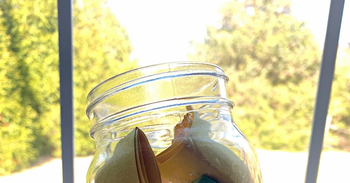 Country Mama To Many: Family Cleaning Raffle