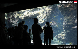 Museu Oceanogràfic Mònaco