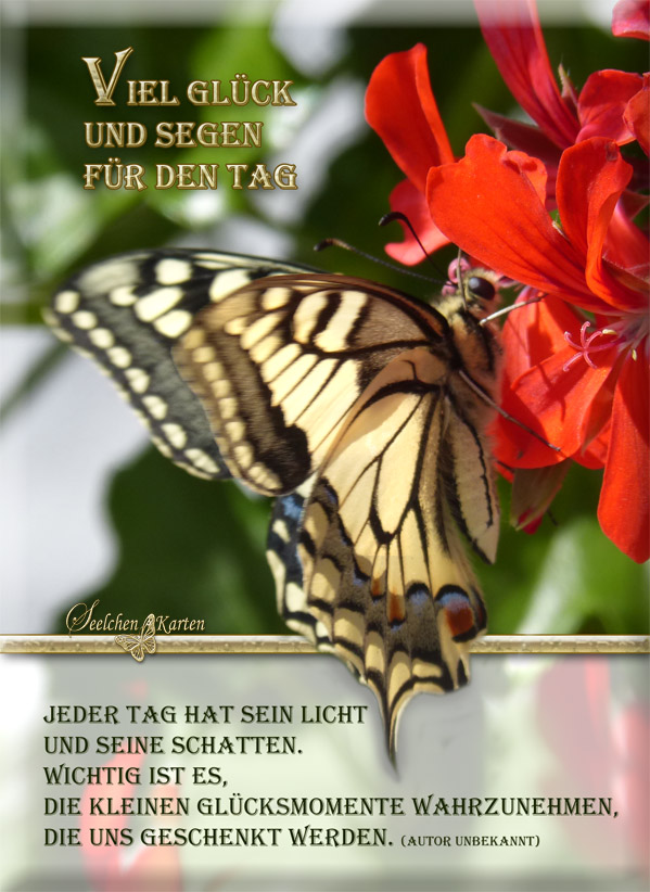 Viel Glück Und Viel Seegen Seelchen Karten und Collagen : Viel Glück und Segen für den Tag