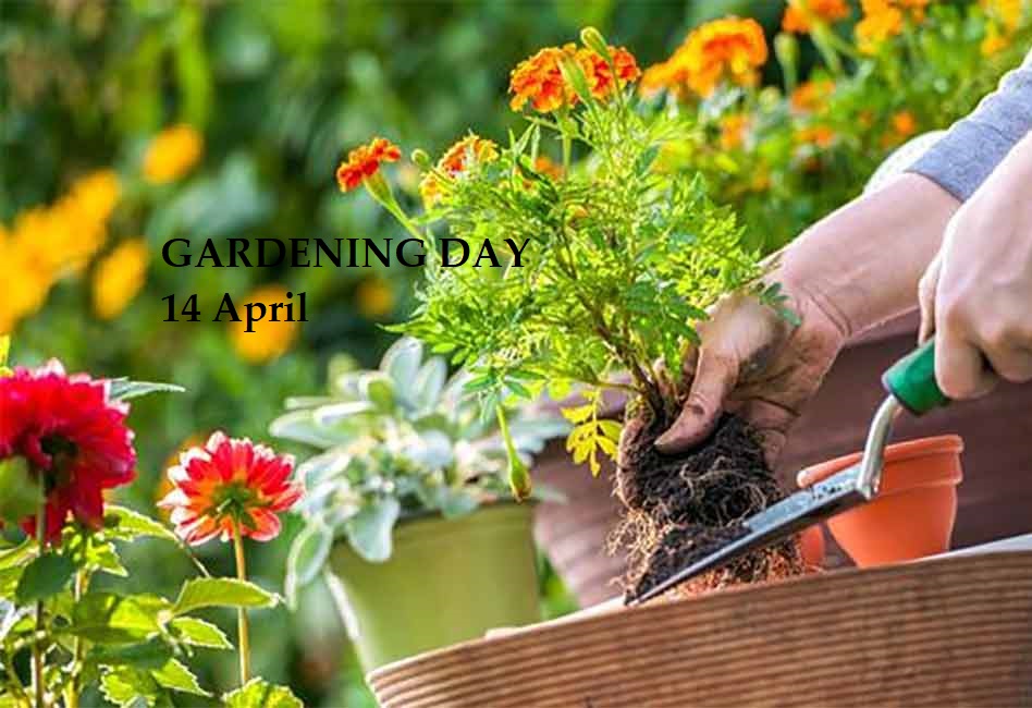 National Gardening Day / Ημέρα Κηπουρικής Η ΔΙΑΔΡΟΜΗ