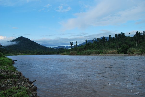 Sungai hutan Pohuwato Gorontalo