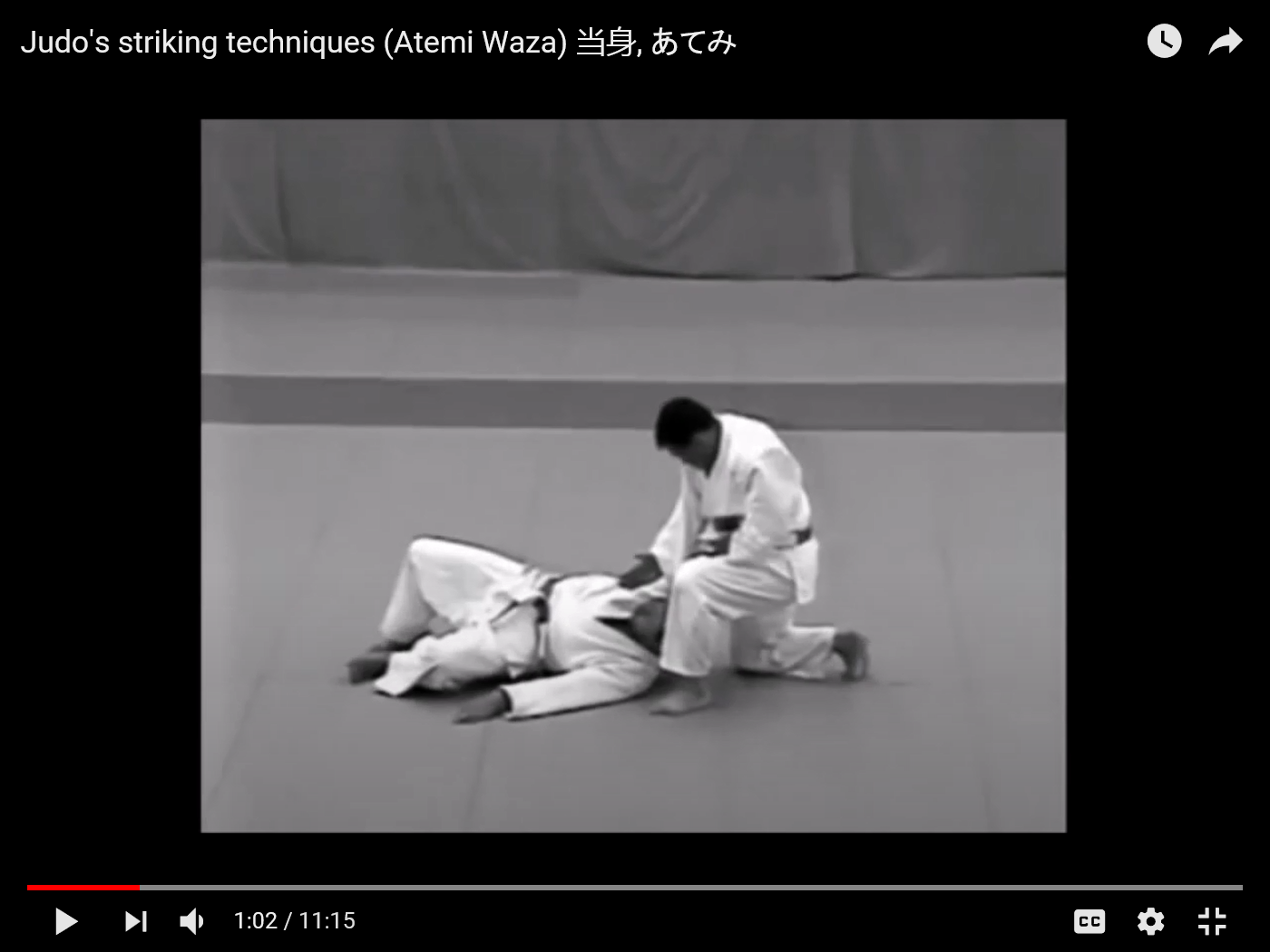 Isshin Concentration the Art Judo's striking techniques (Atemi Waza