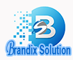 Brandix Solution I International Marketing and IT Solution