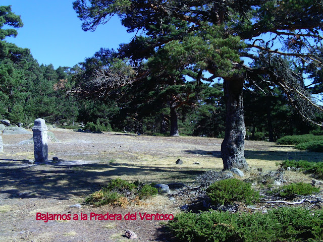 Pradera del Ventoso