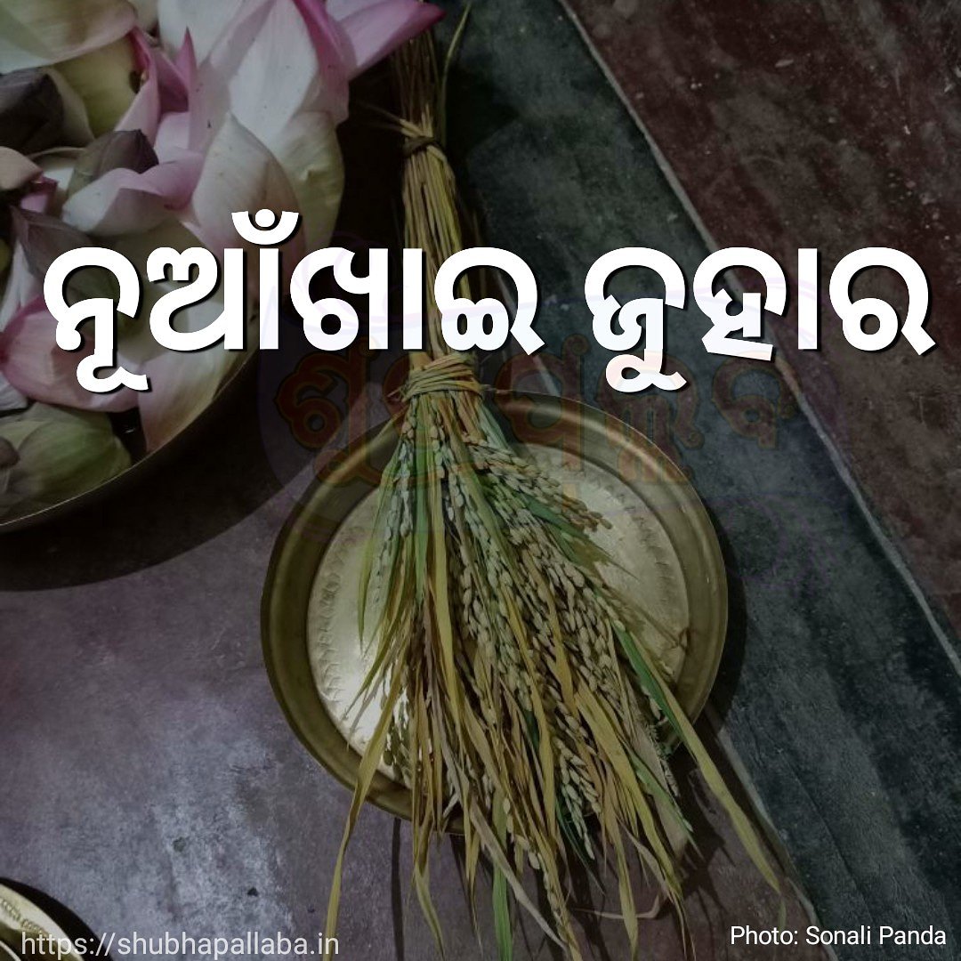 Nuakhai The Harvest Festival Of Western Odisha nuakhai-the-harvest-festival-of-western-odisha